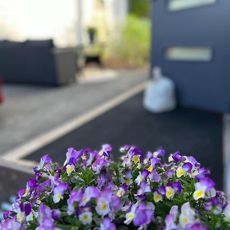 Apartament Ihana Asunto - The Nest With Sauna In Vaasa Zewnętrze zdjęcie